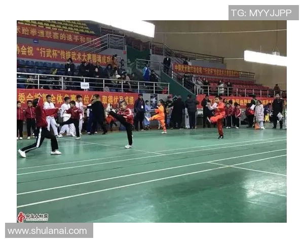 成都羽毛球队配合变革引热议解析团队协作与战术创新的成功之道