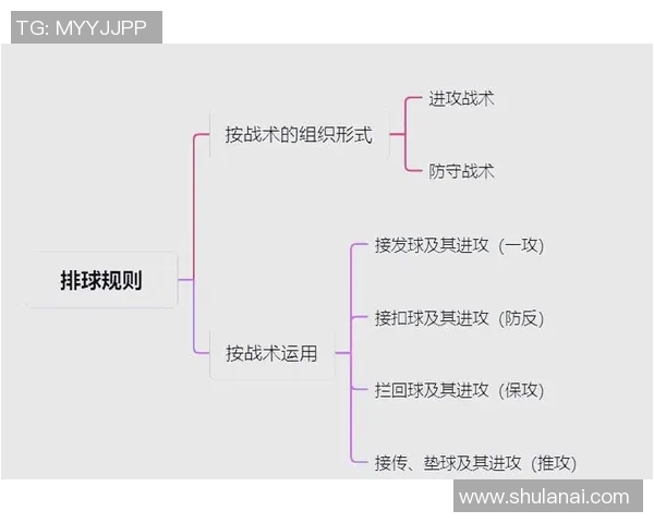 排球盛宴：深入解析西安排球队的默契配合与战术运用