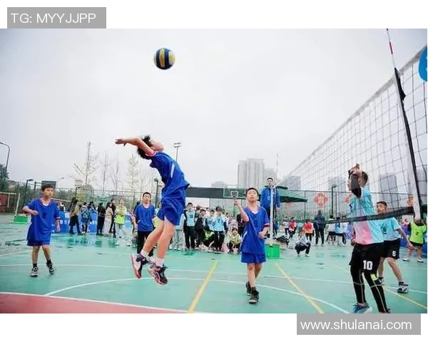 排球心理素质评比出炉成都排球队荣登第五名引发关注