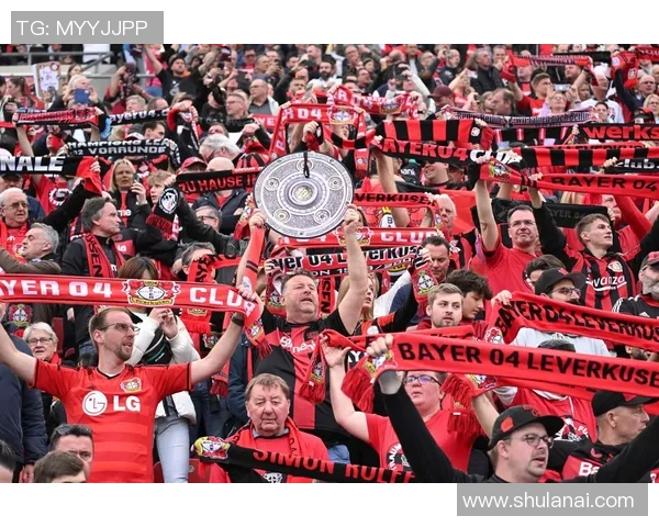 探索小众阿森纳足球明星背后的故事与成就