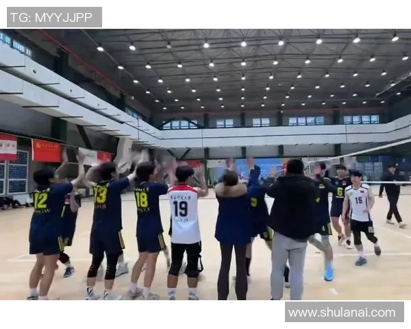 排球团队协作实力榜单揭晓西安排球队荣获第三名佳绩