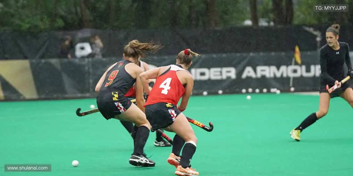 正品保障，收藏热爱！💎